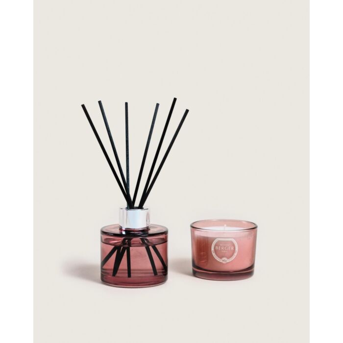 Maison Berger Agaves Garden Mini Bouquet & Candle Duo